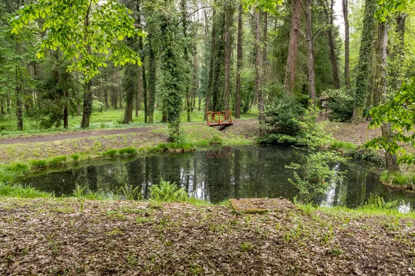 Krásný Výhled Rybník Stromy Pozadí Arboretum Csacs Zalaegerszeg Maďarsko — Stock fotografie