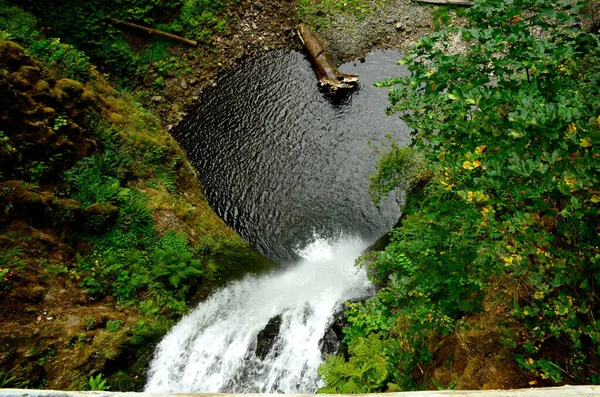 Utsikt Över Ett Vattenfall Som Flyter Över Mossiga Klipporna Skog — Stockfoto