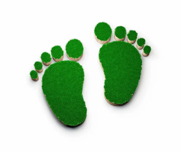 Kształt Footprintu Wykonany Zielonej Trawy Przekroju Tekstury Gruntu Skalnego Ilustracją — Zdjęcie stockowe