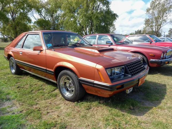 Barna Sport Fox Test Ford Mustang Ferdehátú Kétajtós Szedán 1982 — Stock Fotó