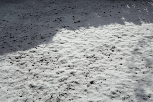 Licht Und Schattenspiel Auf Schneebedeckter Wiese Konzept Schwarz Und Weiß — Stockfoto