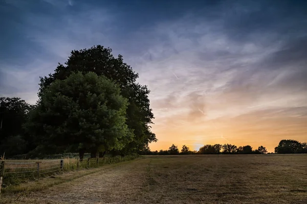 Mooie Foto Van Een Gemaaid Veld Bij Zonsondergang Met Bomen — Stockfoto