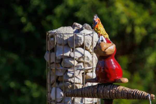 Een Closeup Van Een Van Hout Vogel Buurt Van Stones — Stockfoto