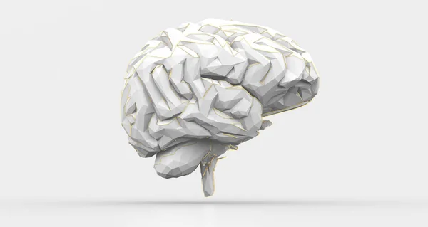 Illustration Gray Brain White Background — Stockfoto