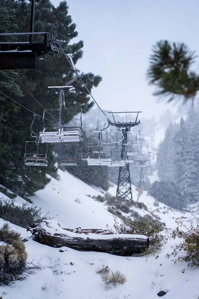 Вертикальный Снимок Канатной Дороги Проходящей Через Снежный Пейзаж Деревьями Холмами — стоковое фото