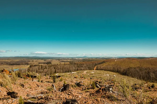 Мальовничий Вид Сільську Місцевість Пишними Лісами Фоні Блакитного Неба — стокове фото