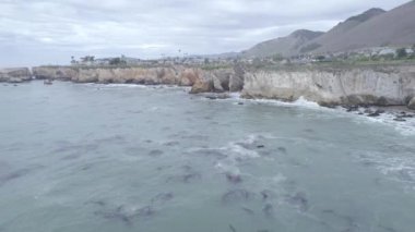 The footage of the sea and rocky shoreline. Dinosaur Caves Park, San Luis Obispo, California.