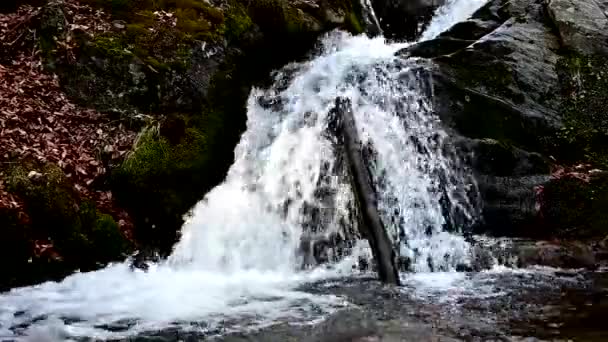 Video Una Piccola Cascata Nella Montagna Osogovo Nel Nord Della — Video Stock