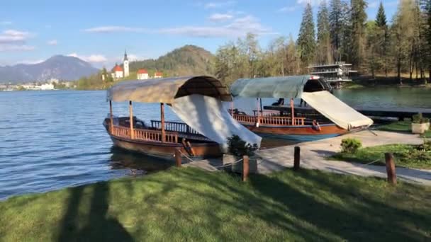 Slovenya Nın Bled Gölü Ndeki Geleneksel Ahşap Pletna Tekneleri — Stok video