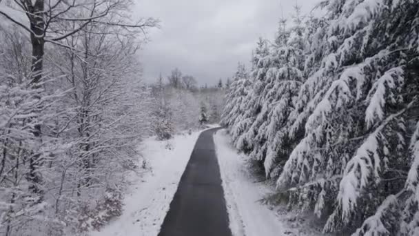 Aerial Shot Road Surrounded Leafless Forests Covered Snow Winter Bavaria — 图库视频影像