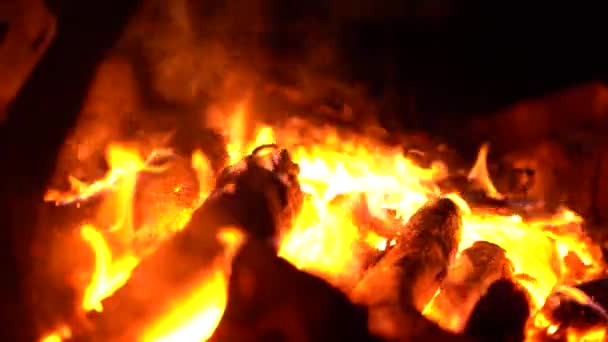 Aesthetically Pleasing Campfire Footage Shot Australian Bush — Vídeo de Stock