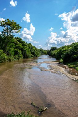 Brezilya 'da kumlu bir nehir yatağında kumlar.