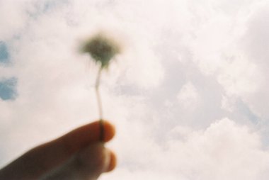 Bulutlu bir gökyüzüne karşı karahindiba tutan bir insanın bulanık görüntüsü.