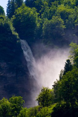Ormanın ortasındaki doğal dağ manzarasının dikey görüntüsü.