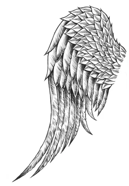 A sketch of tattoo in a shape of wing. Symbol of freedom