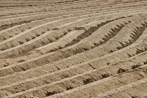 Ploughed Field Geilenkirchen Germany Farm Scenery —  Fotos de Stock