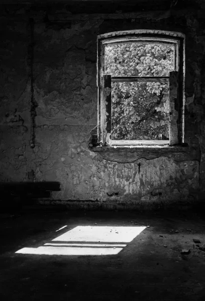 Vertical Grayscale Shot Interior Abandoned Psychiatric Department Building — Stock Photo, Image