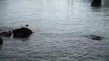 Suyun hareketleriyle denizde güzel bir kaya görüntüsü.