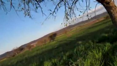 Large green agricultural lands in Bavaria, Germany