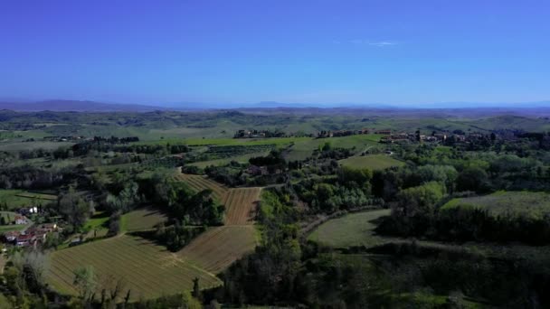Drone Flight Typical Tuscan Landscape Green Hills Cypress Vineyards Agricultural — Stock video