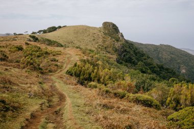 Mavi parlak gökyüzünün altında ağaçlar ve çalılarla çevrili güzel bir dağ manzarası.