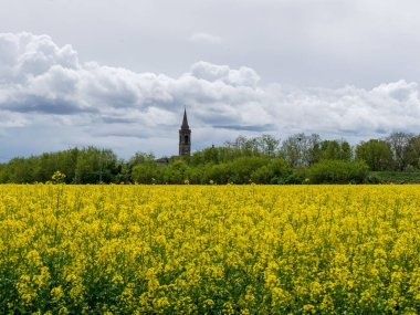Emilia Romagna, İtalya 'da çiçek açan bir çiftlik.