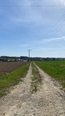 Gündüz vakti mavi gökyüzünün altında boş bir yol