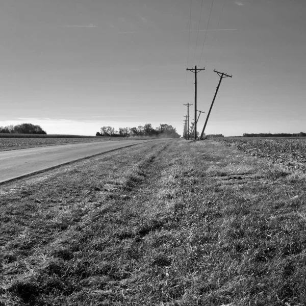 Grayscale Shot Road Field — Stock Photo, Image