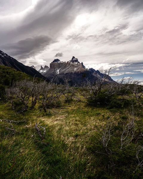 Vertical Shot Landscape Covered Bare Trees Snowy Mountains Cloudy Day — Zdjęcie stockowe