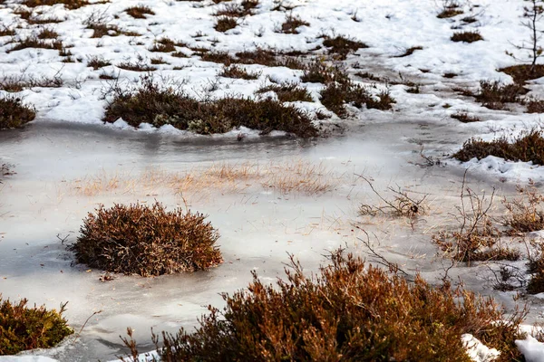 A small frozen body of water and dry grass in a snowy winter