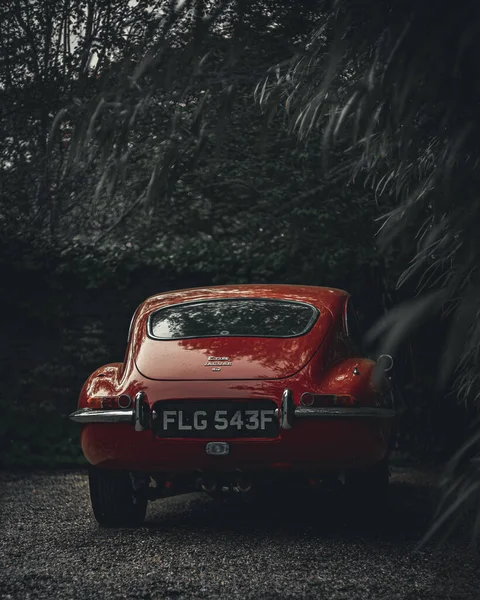 自然の中で赤のヴィンテージ車のクローズアップショット — ストック写真