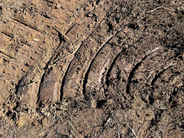 Burke County Usa Country Dirt Roads South Georgia Tire Imprint — Stock Photo, Image