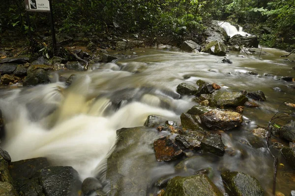 森の中の岩を流れる小川の長時間露光ショット — ストック写真