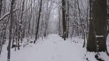A scenic view of a road surrounded by leafless forests covered with snow in winter in Bavaria, Germany