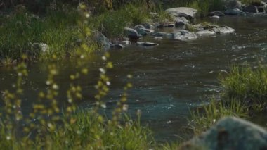 A beautiful shot of a river in Ardeche, France