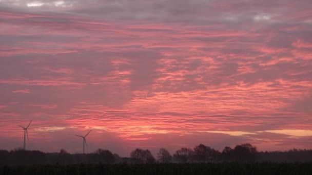 夕日の下でカラフルな曇り空の下で風車の美しいショット — ストック動画