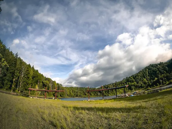 曇り空の下で木々に囲まれた湖と緑の風景のパノラマの低角度 — ストック写真