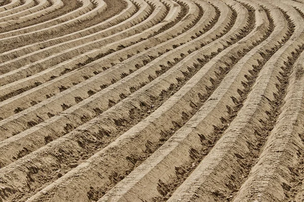 Ploughed Field Geilenkirchen Germany Farm Scenery — Stock Photo, Image