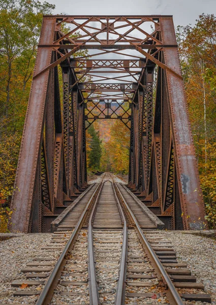 秋に森の中に建設された鉄道の垂直ショット — ストック写真