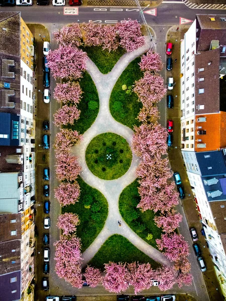 Die Luftaufnahme Eines Stadtparks Mit Landschaftsplanung Und Rosa Bäumen — Stockfoto
