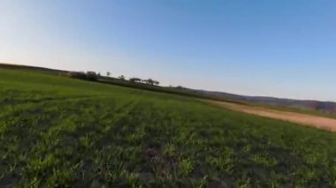 A vast green agricultural land in Bavaria, Germany