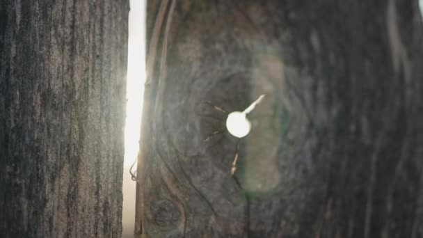 Blick Durch Ein Loch Einem Holzzaun Bei Sonnenuntergang — Stockvideo