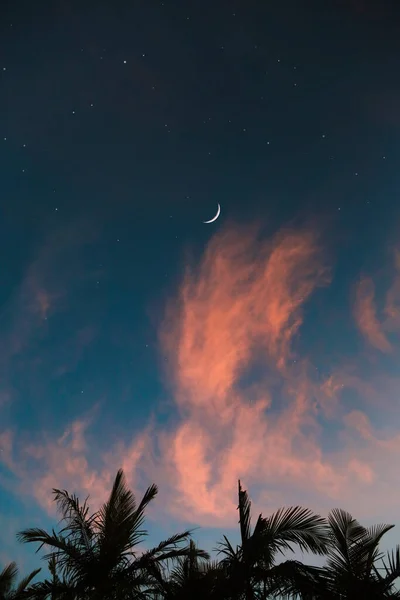 Hermoso Plano Vertical Media Luna Cielo Azul Estrellado — Foto de Stock
