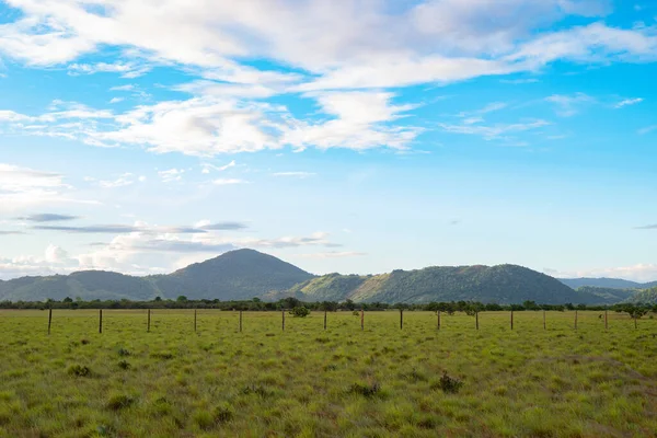 Die Schöne Hügellandschaft Sommer — Stockfoto