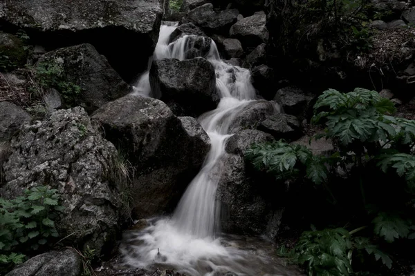 Une Belle Cascade Dans Forêt Verte Qui Coule Sur Les — Photo