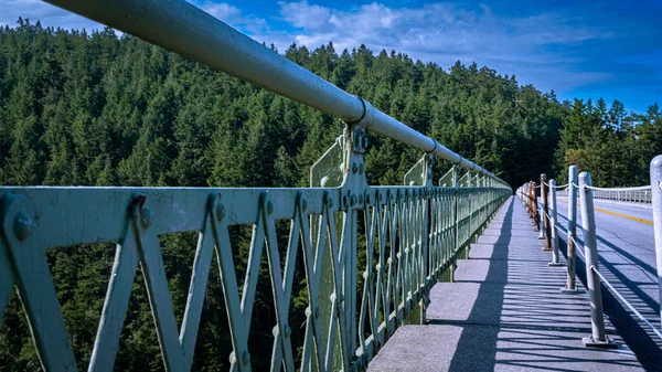 Blekgröna Metallledstänger Bron Mot Gröna Träden Och Blå Himmel — Stockfoto