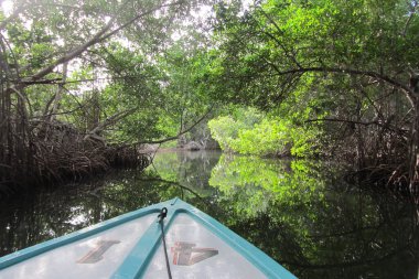 Yüzen bir tekneden sakin, berrak bir göl.