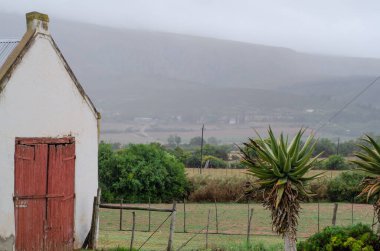 Tarlada eski beyaz bir kulübe.