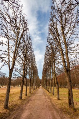 Baharda Bosquets 'in güzel bir manzarası, Devlet Müzesi Arkhangelskoye