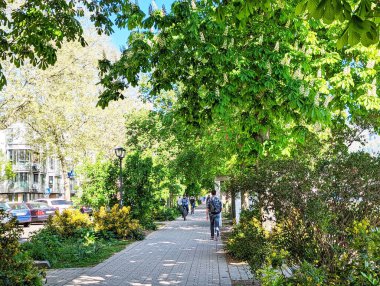 Güneşli bir günde gölgeli bir yolda yürüyen insanlar